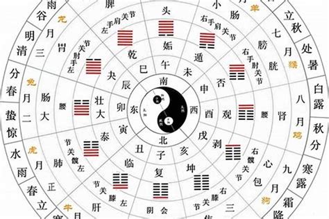 五行天干|十二天干地支五行对照表 天干地支配对表